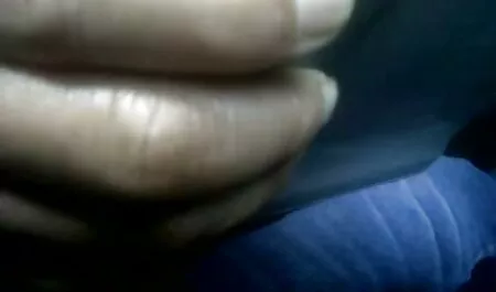 Despierta atada con cinta adhesiva, y la chica junto a ella grita en la garganta completa y xnxx veterana monta a un hombre negro saludable en el tablero
