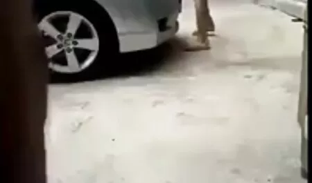 Follando a una mujer en la playa con su perro culo hinchado, la brisa marina se suma veteranas bien ricas al romance sexual