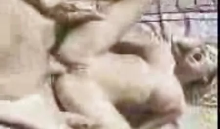 Daniella sexo casero veteranas dior