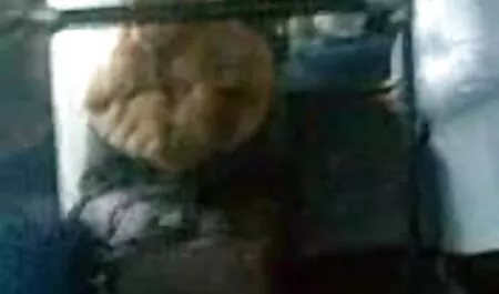 Chica traviesa ríe a un hombre en un casting, quitándose las bragas y moviendo su vagina afeitada delante de él viendo la televisión videos caseros de veteranas